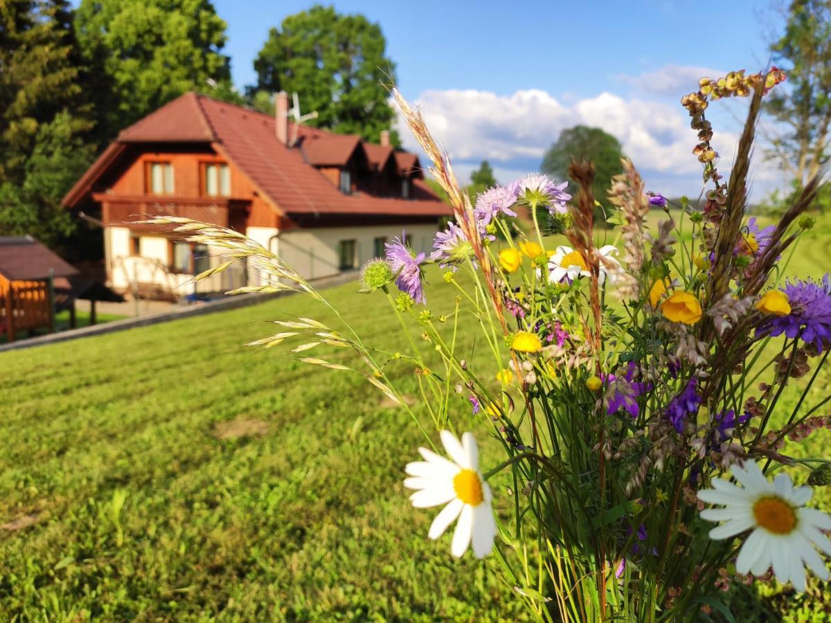 Dom Dorota Villa Liptovska Sielnica Exterior photo